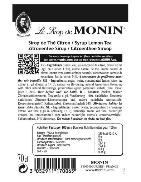 Monin Citroenthee Siroop