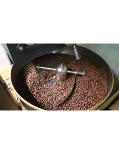 Pink Moka Brasil Santos Fine Cup Cerrado